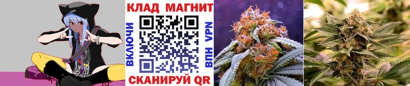 Купить ГАШ Кокаин Псилоцибиновые грибы МЕФ АМФ Суворов