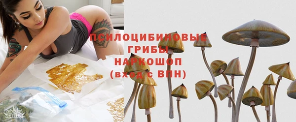 ГАЛЛЮЦИНОГЕННЫЕ ГРИБЫ Няндома