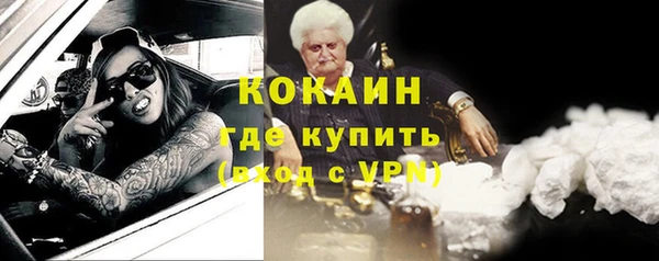 ГАЛЛЮЦИНОГЕННЫЕ ГРИБЫ Няндома