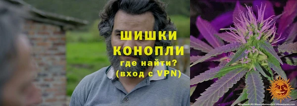 ГАЛЛЮЦИНОГЕННЫЕ ГРИБЫ Няндома