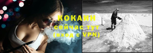 ГАЛЛЮЦИНОГЕННЫЕ ГРИБЫ Няндома