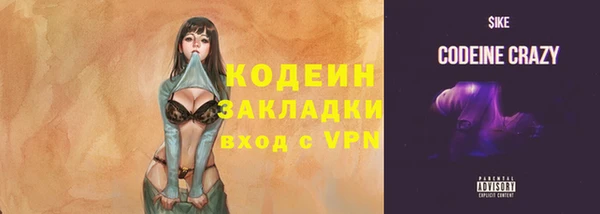 ГАЛЛЮЦИНОГЕННЫЕ ГРИБЫ Няндома